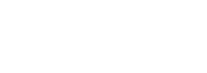 木と色彩の対比